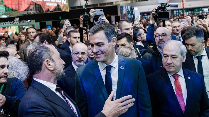 Informativo 24h - Informativo 24 horas - 14h - 24/01/25