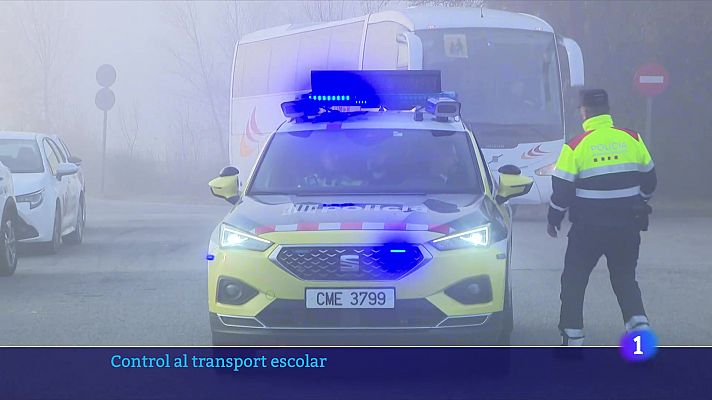 Control al transport escolar: l'any passat van sancionar 241 vehicles