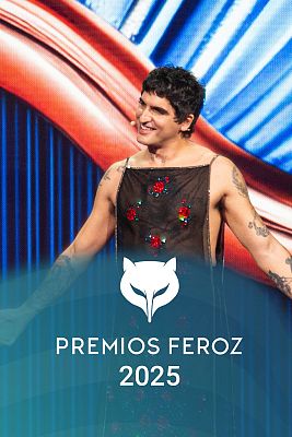 Premios Feroz 2025