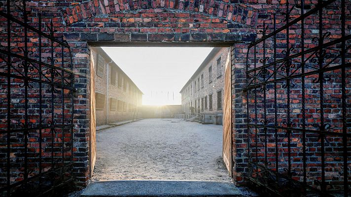 80 años de la liberación de Auschwitz