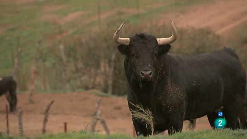 Tendido Cero - 05/01/13  - Ver ahora 