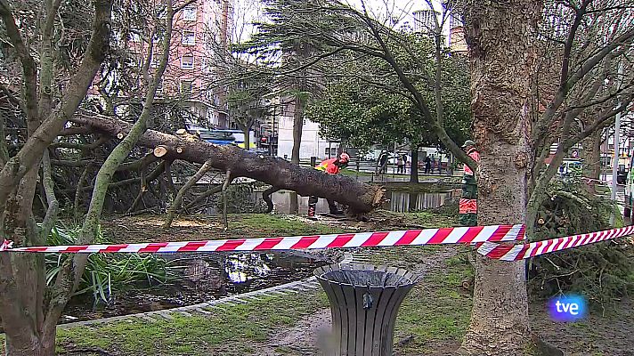 Panorama Regional - Panorama Regional - 28/01/25