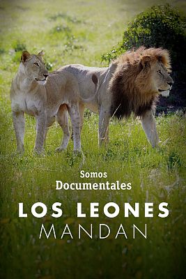 Somos Documentales - Los leones mandan