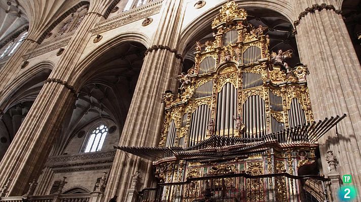 Joaquín Lois. Organería