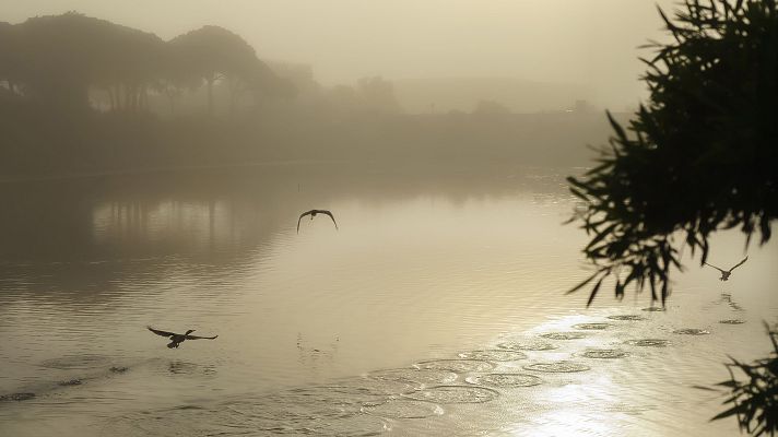 Telediario 1 - Tres de cada cuatro humedales en España están en mal estado, principalmente a causa de la agricultura intensiva