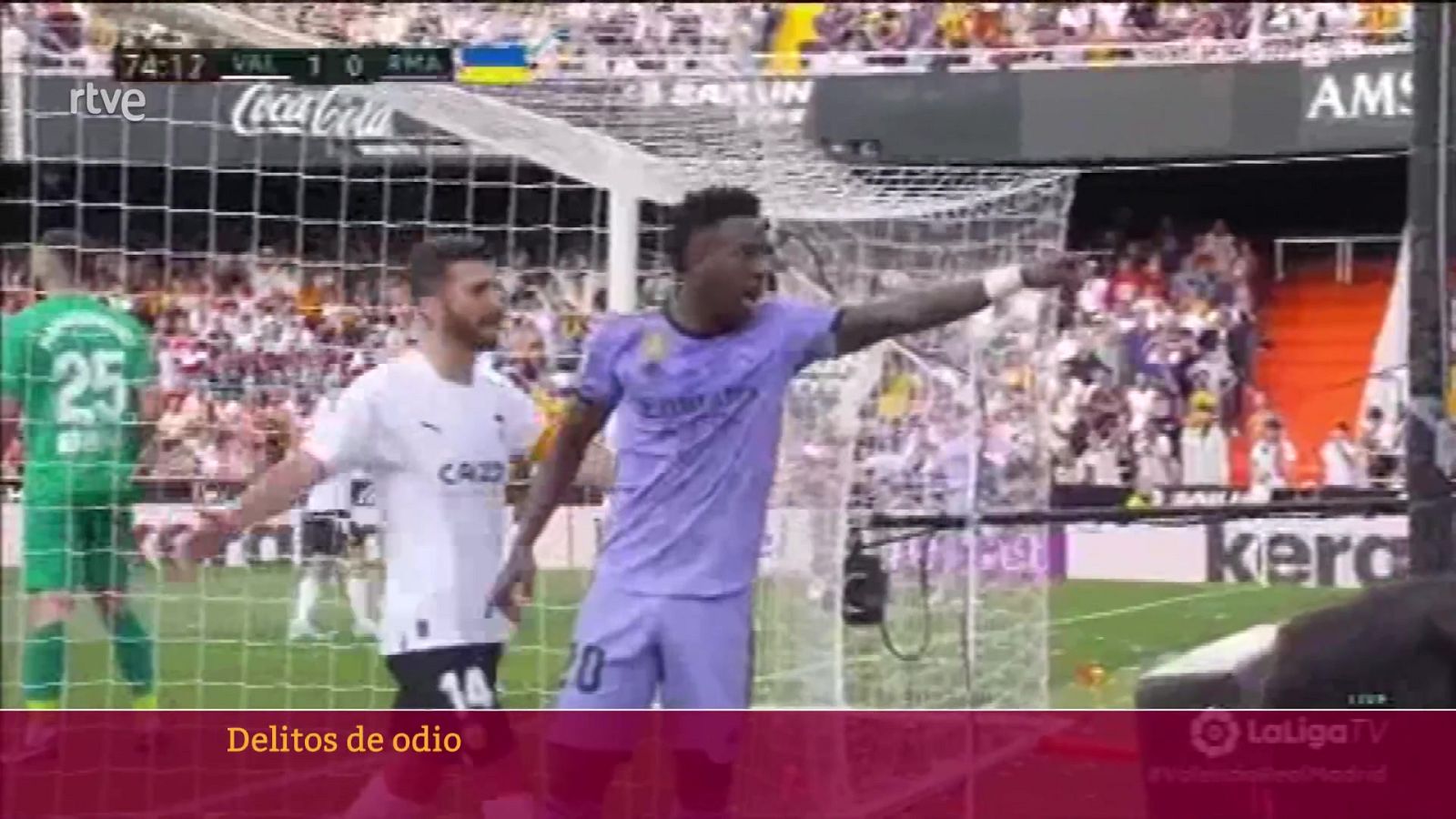 Delitos de odio | Ver