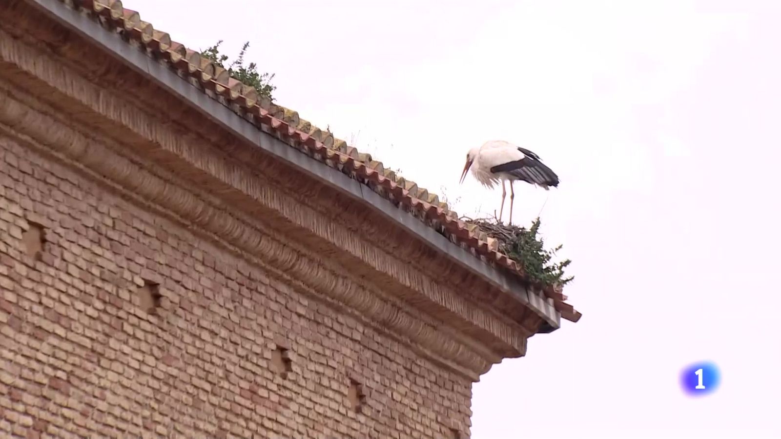 Informativo Telerioja - 03-02-2025 | Ver