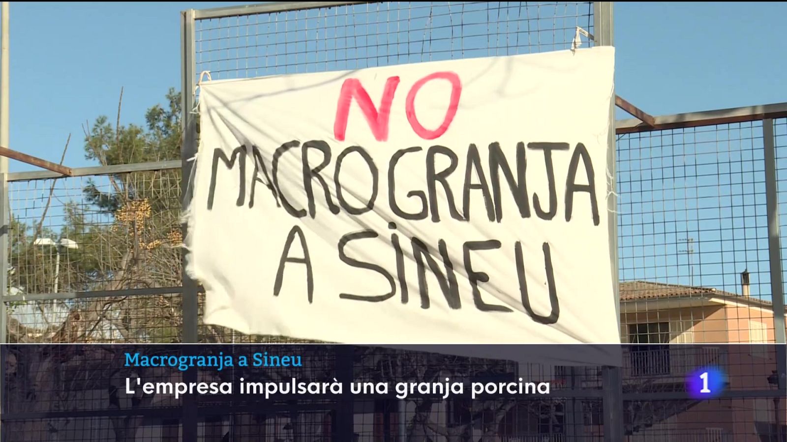 Informatiu Balear 1 - 03/02/25 Veure ara