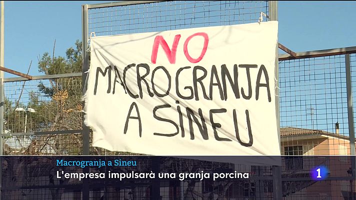 Informatiu Balear - Informatiu Balear 1 - 03/02/25