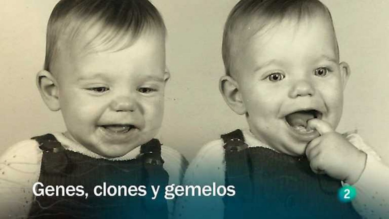 Redes - Genes, clones y gemelos