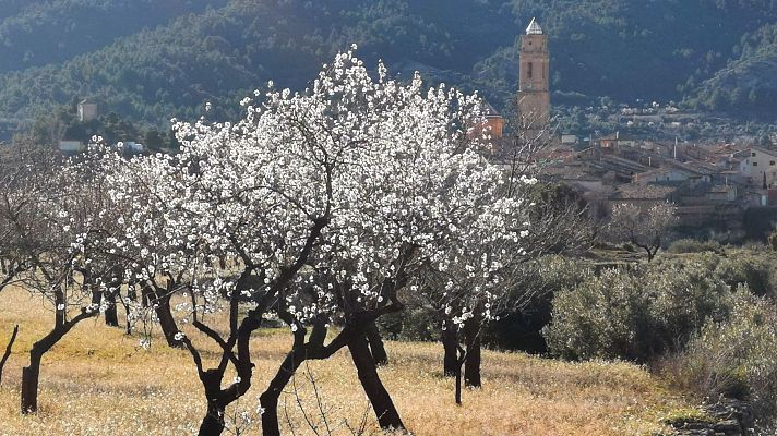 Culturas 2 - 'Tierra baja', lo nuevo de Aitana Sánchez-Gijón