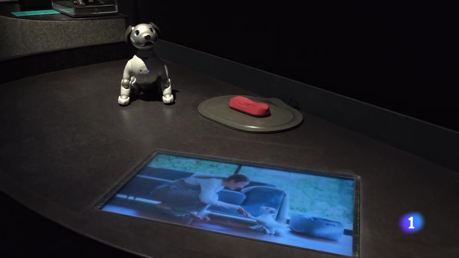 Informativo Telerioja - 07-02-2025 | Ver