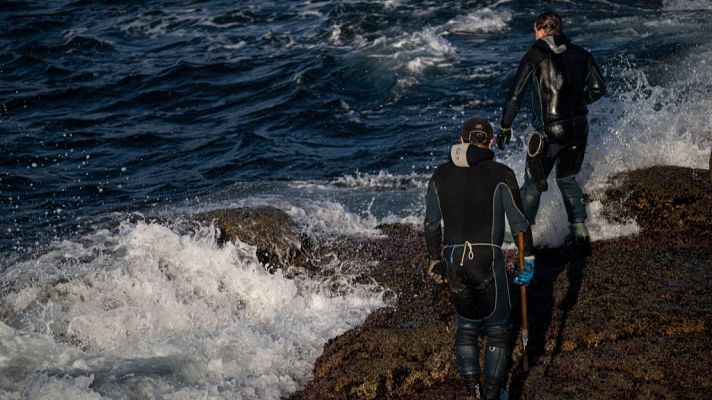 Los percebeiros de la Costa da Morte critican las trabas burocráticas para desempeñar su trabajo