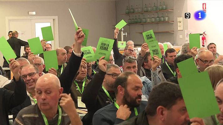 L'Informatiu - L'Informatiu - 08/02/2025