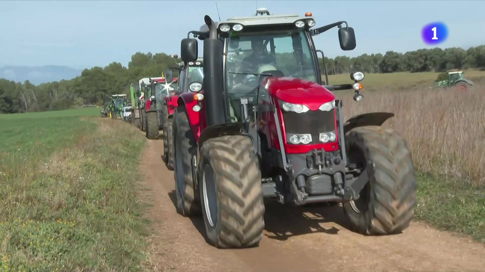 L'Informatiu - 10/02/2025