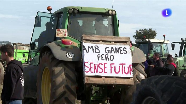 L'Informatiu - L'Informatiu 2 - 10/02/2025