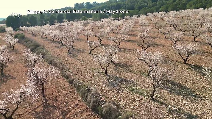 Aquí la Tierra - Aquí la Tierra - 10/02/25