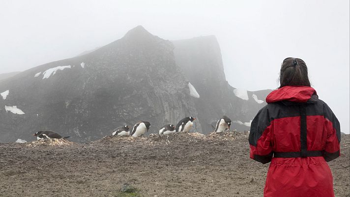 Telediario 1 - Día de la Mujer y la Niña en la Ciencia: así es la labor de varias científicas españolas en la Antártida