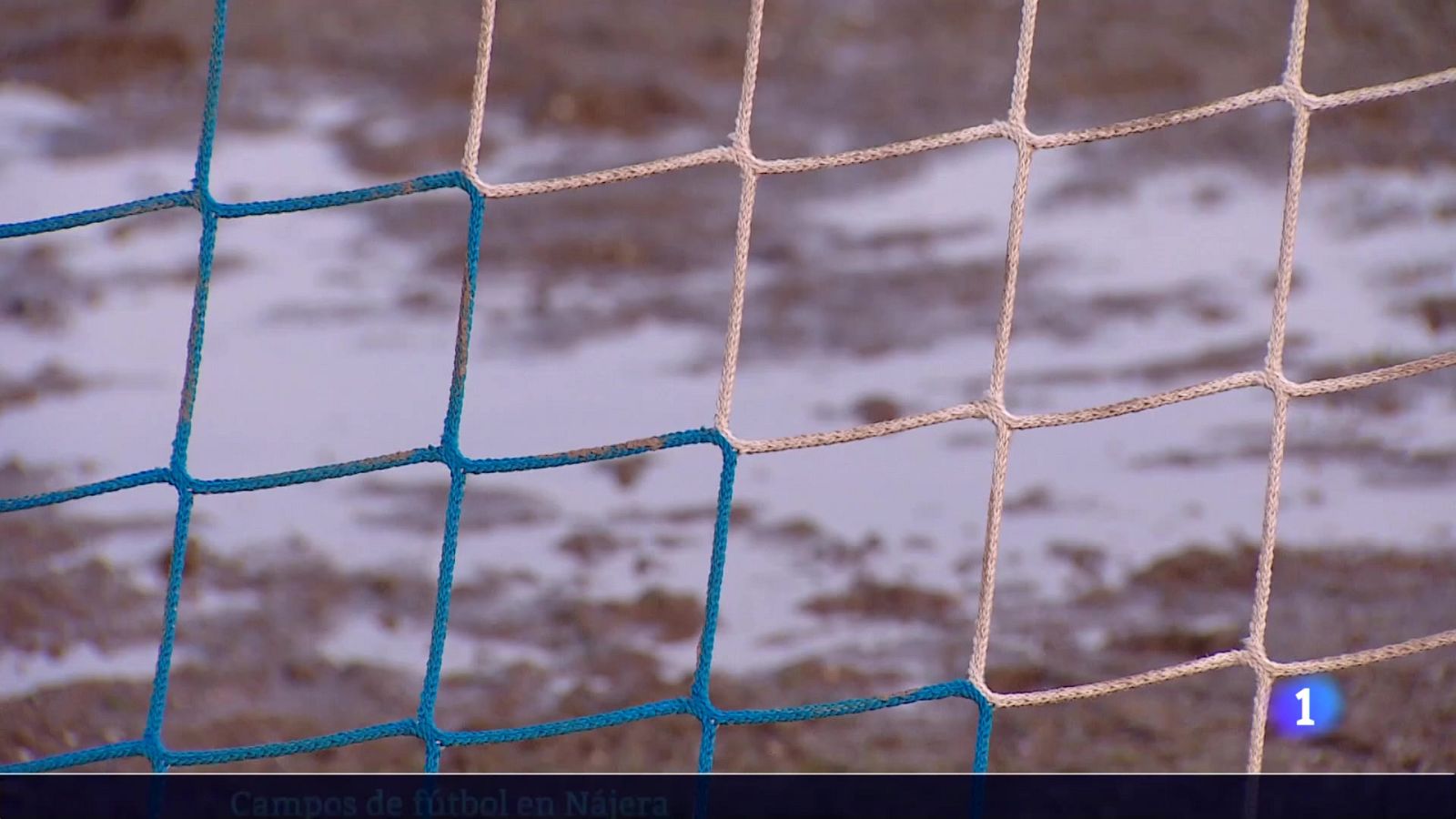 Informativo Telerioja - 12-02-2025 | Ver