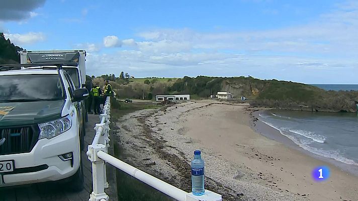 Panorama Regional - Asturias en 2' - 12/02/25