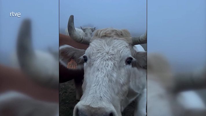 Aquí la Tierra - Aquí la Tierra - 12/02/25