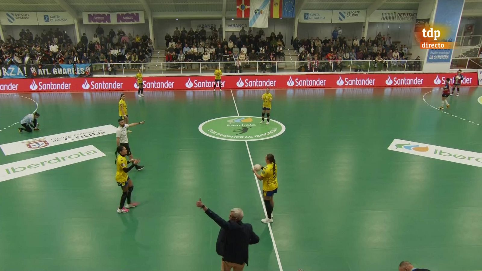 Balonmano - Liga Guerreras Iberdrola. 17ª jornada: Mecalia At. Guardés - Rocasa Gran Canaria - ver ahora