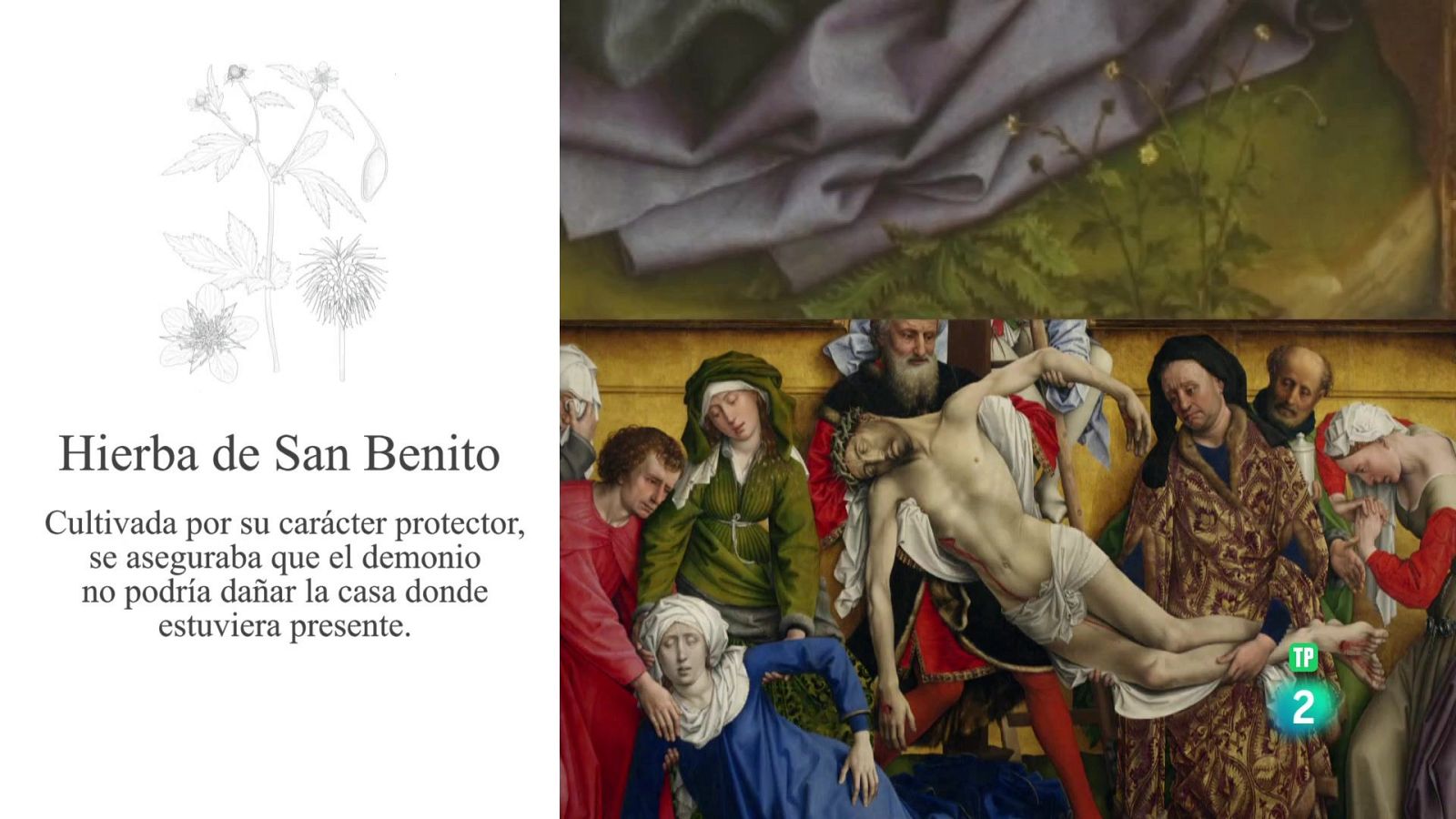 Un paseo botánico por el Prado | Ver