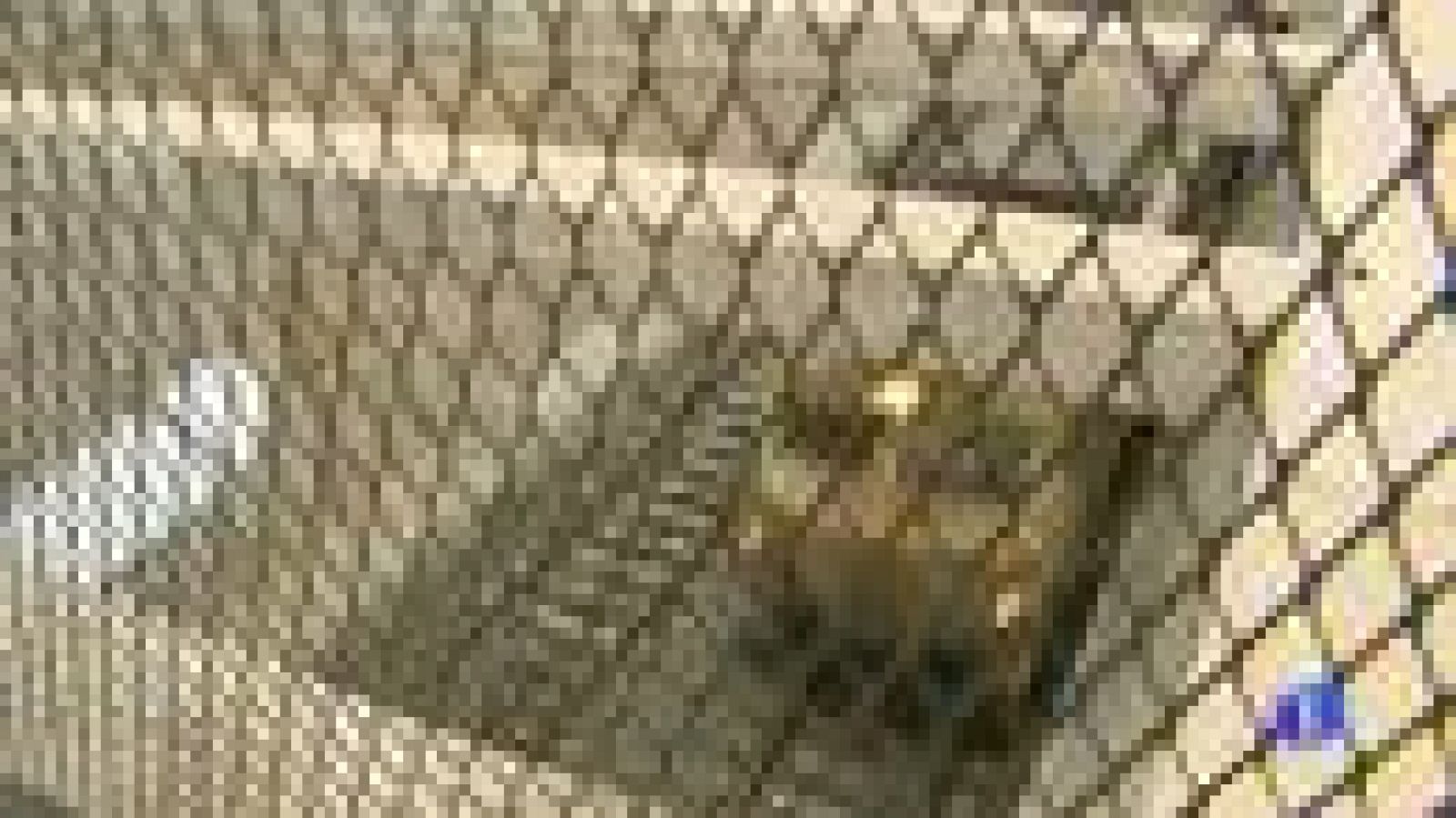 Seiscientos pasajeros afectados por una avería en el tren Gijón-Madrid