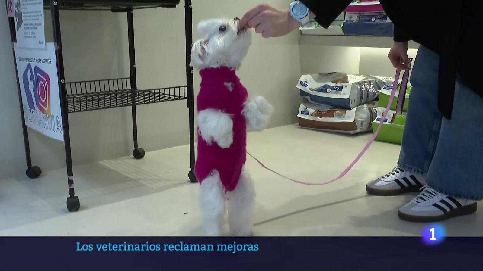 Informativo Telerioja 2 - 18-02-2025 | Ver