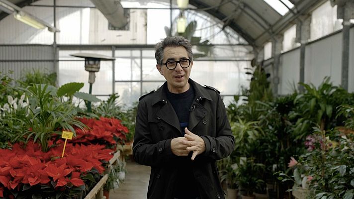 Página Dos - Un año sin Miguel López, el Hematocrítico