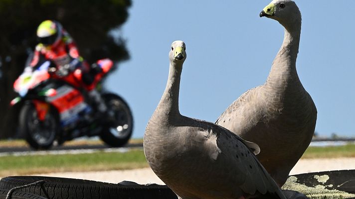 Informativo 24h - Arranca en Australia la lucha por el Mundial de Superbike