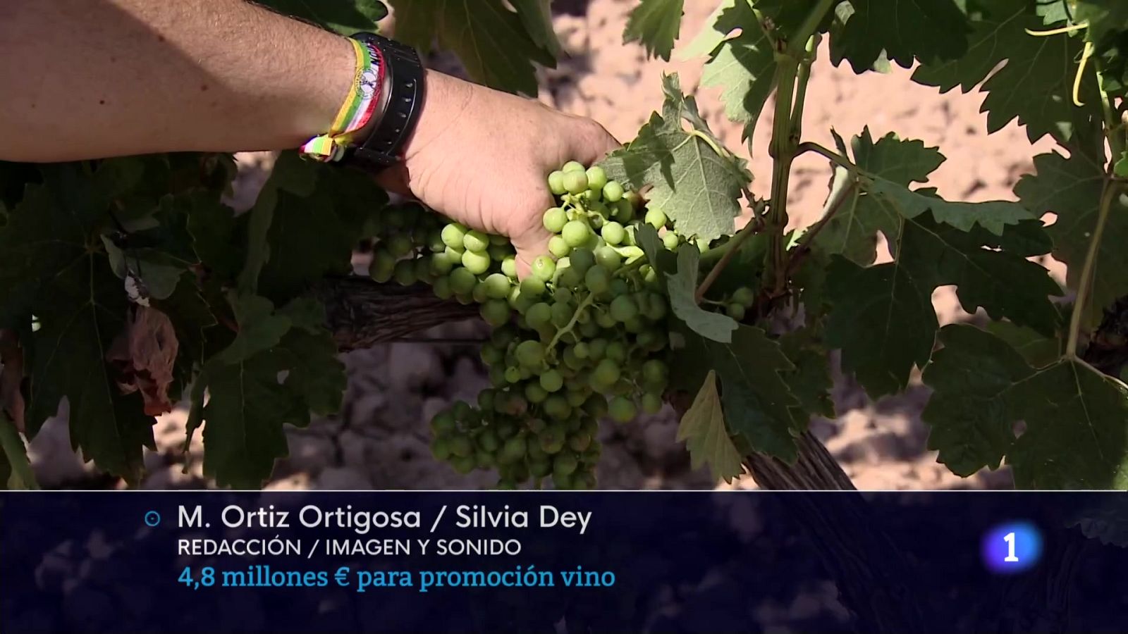 Informativo Telerioja 2 - 21-02-25 | Ver