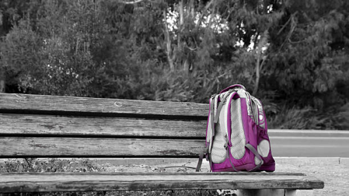 Objetivo igualdad - Programa 158: Huérfanos de violencia de género