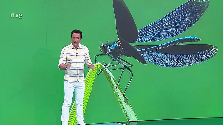 Aquí la Tierra - Aquí la Tierra - 24/02/25