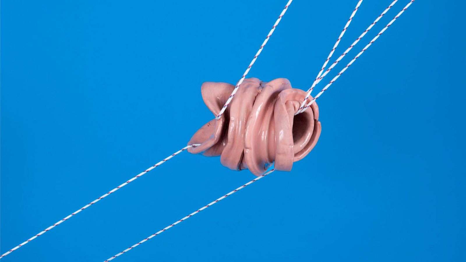 Metrópolis - Teresa Solar Abboud - ver ahora