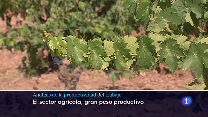 Informativo Telerioja - Informativo Telerioja 2 - 25-02-2025 - ver ahora