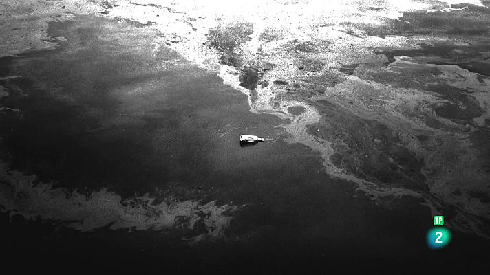 La aventura del Saber - Boek Visual: María Moldes