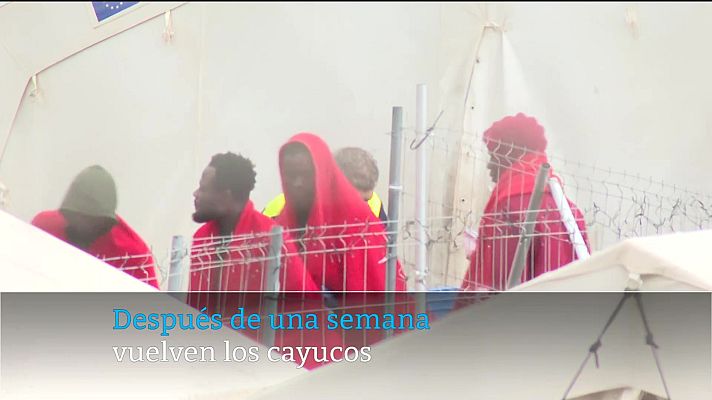 Telecanarias - Canarias en 2' - 28/02/2025