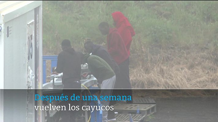 Telecanarias - Telecanarias - 28/02/2025