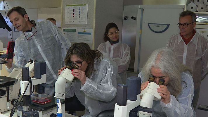 Telediario 2 - Investigación en España: clave para tratar enfermedades raras
