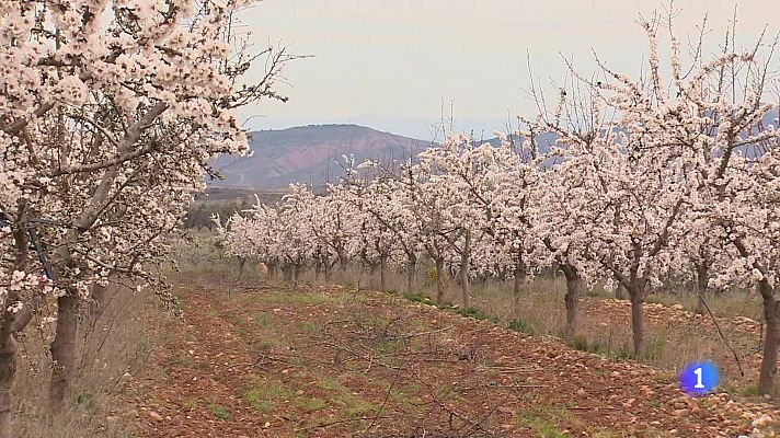 Informativo Telerioja - Informativo Telerioja - 03-03-2025