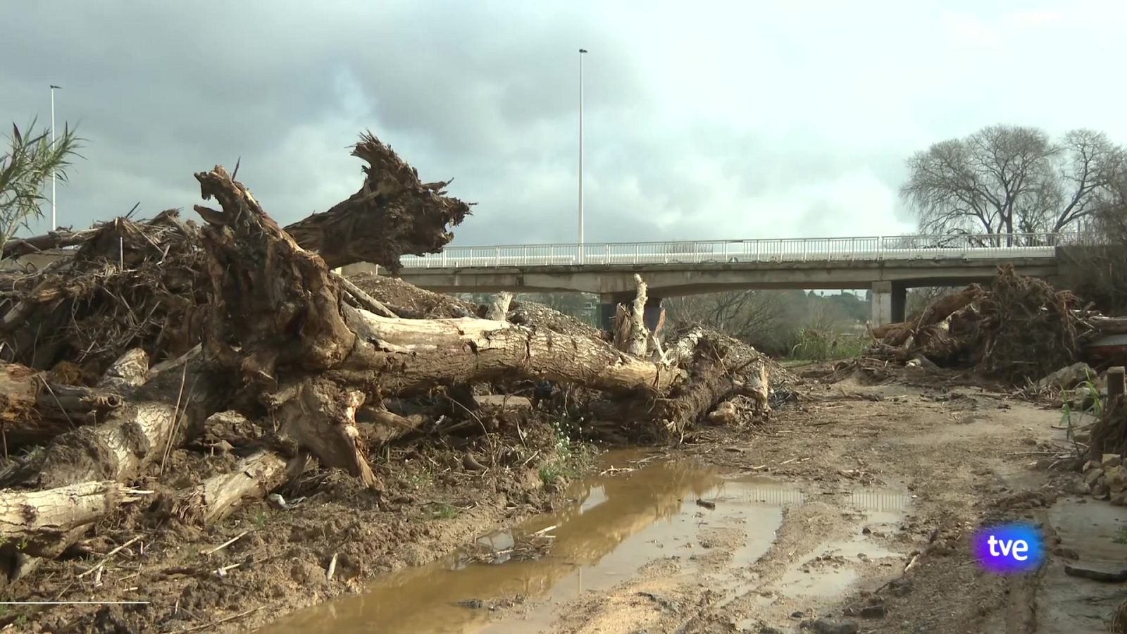 L'Informatiu de la Comunitat Valenciana 1 - 04/03/25 | Ver