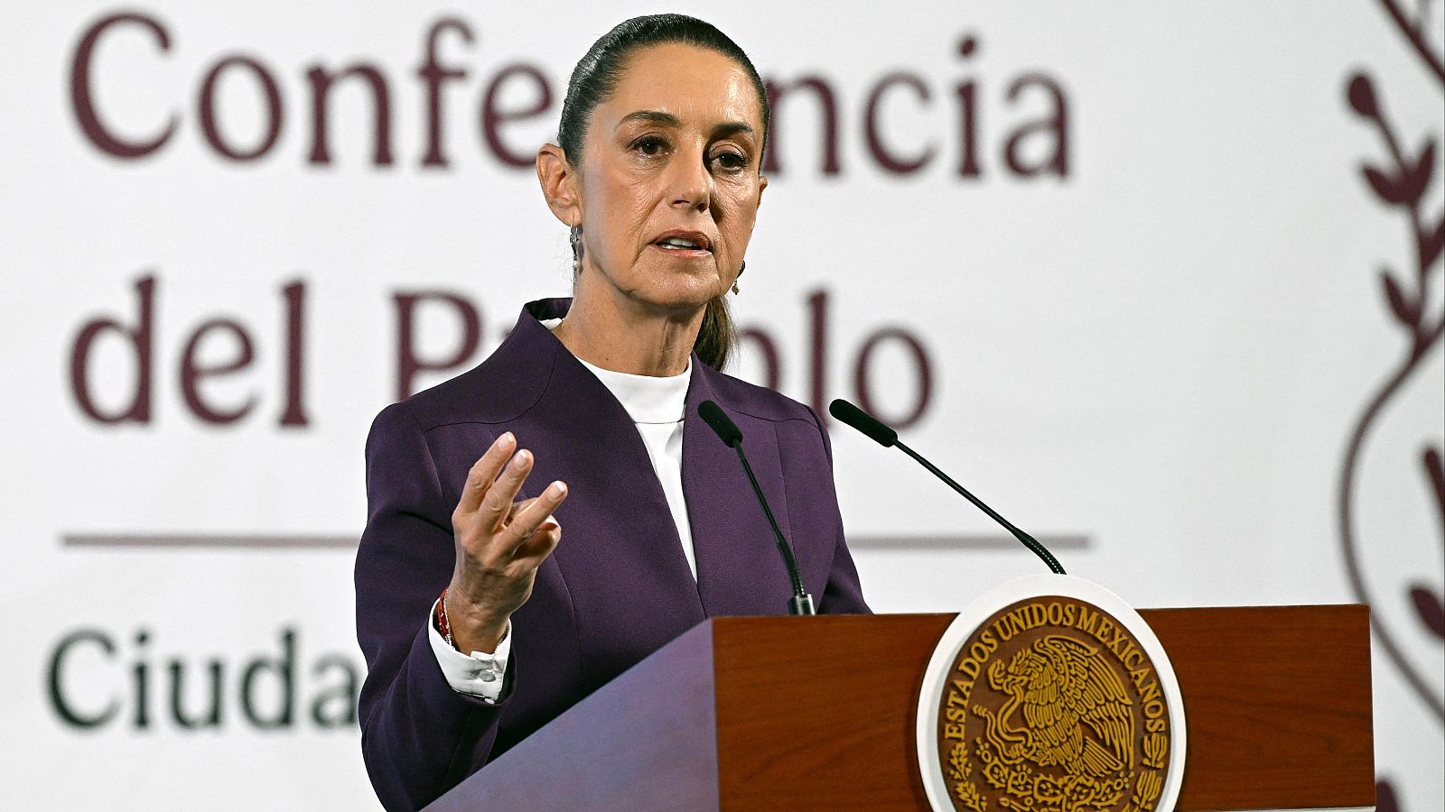 México anuncia que responderá a los aranceles de Estados Unidos - La economía | Ver