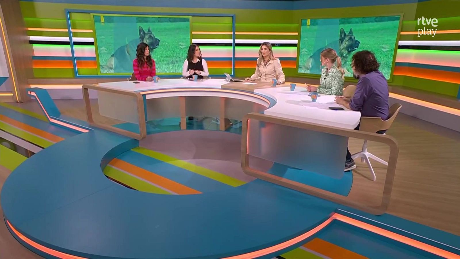 Gossos perillosos, abusos sexuals infantils i 8M | L'altaveu - L'altaveu | Veure