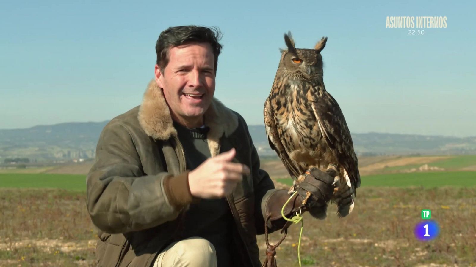 'Rapaces' de todo - Aquí la Tierra | Ver
