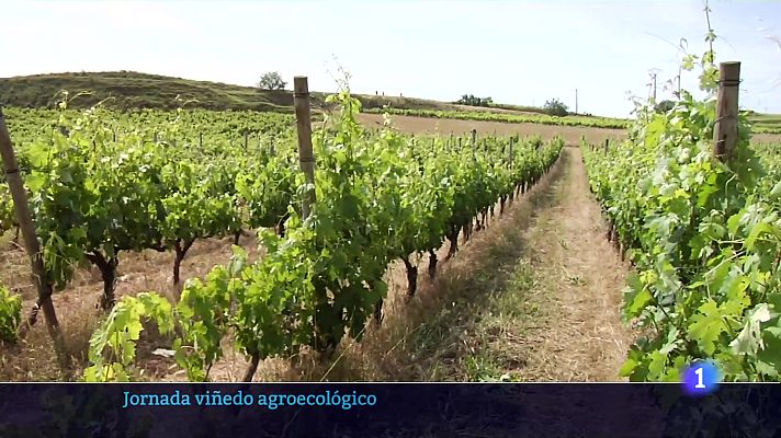 Informativo Telerioja - Informativo Telerioja - 07-03-2025 - ver ahora