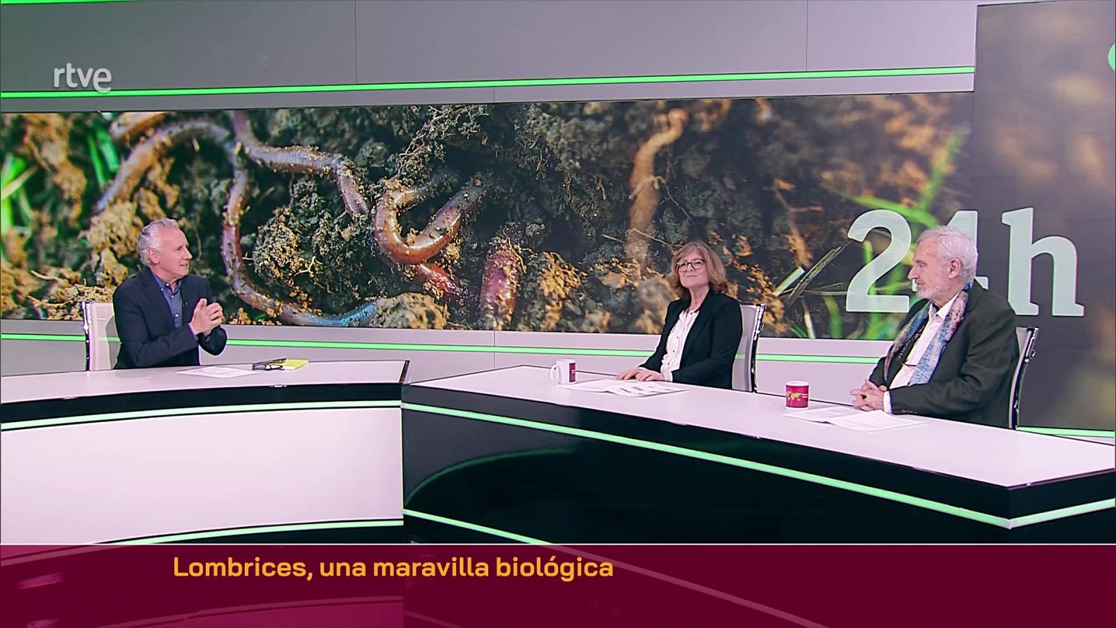 Objetivo Planeta - Lombrices, una maravilla biológica - ver ahora