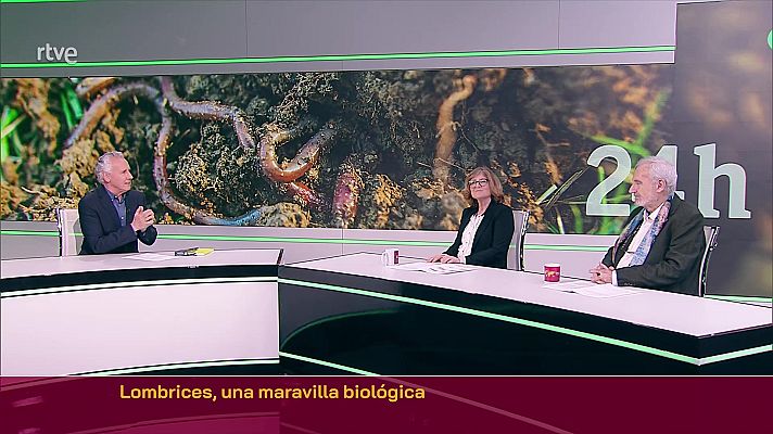 Objetivo Planeta - Lombrices, una maravilla biológica