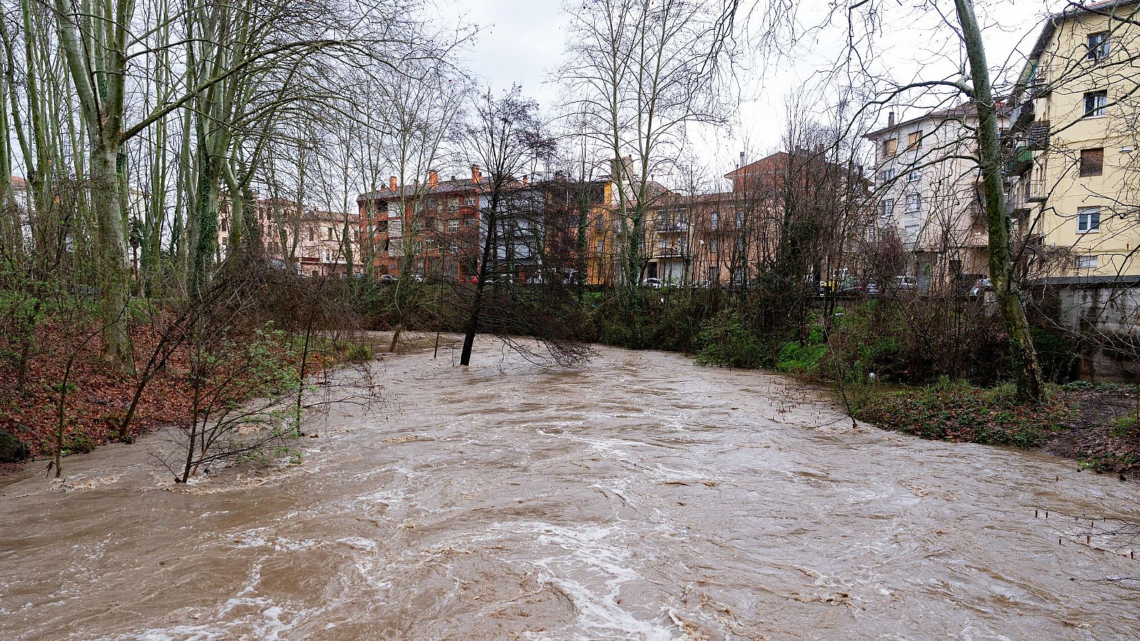 Telediario - 15 horas - 09/03/25 - ver ahora