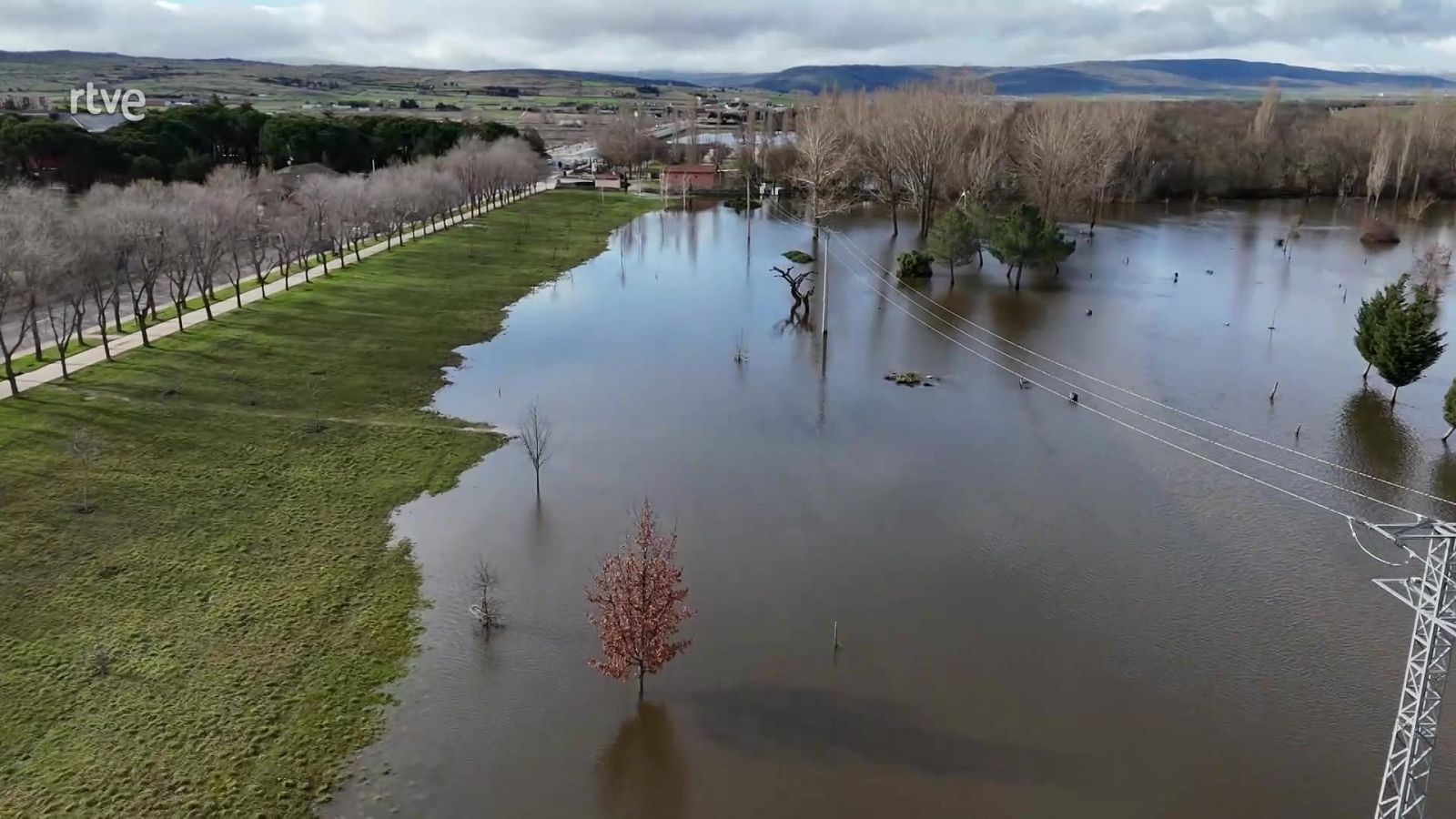 Mañaneros - Programa 370 - ver ahora